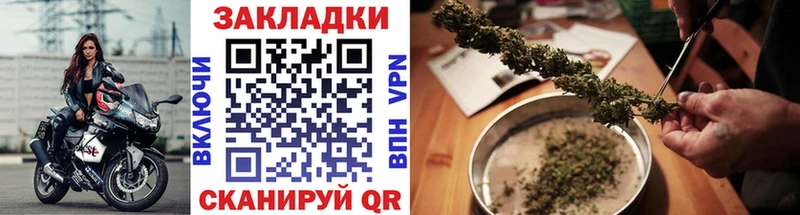 Конопля Северская