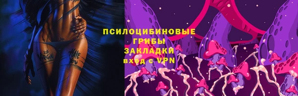 экстази Богородицк