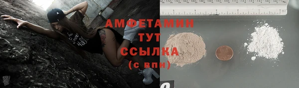 прущий лед Богданович