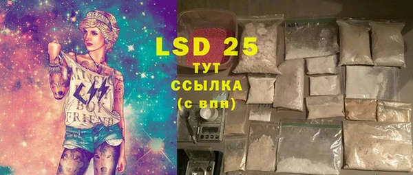 прущий лед Богданович