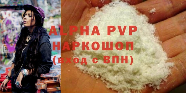 прущий лед Богданович