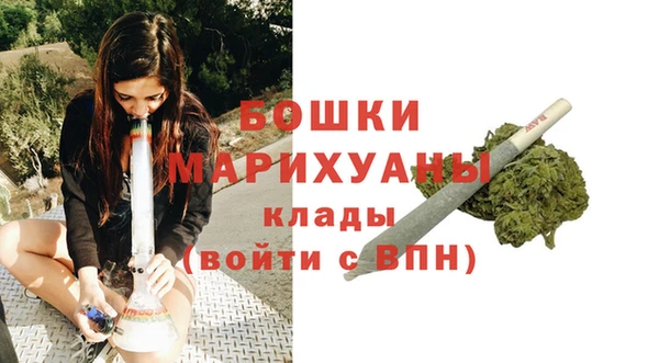 прущий лед Богданович