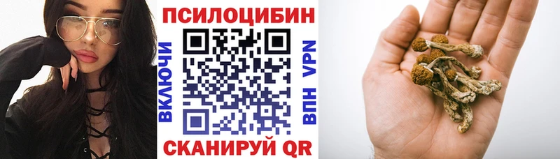 Галлюциногенные грибы мицелий  Северская 